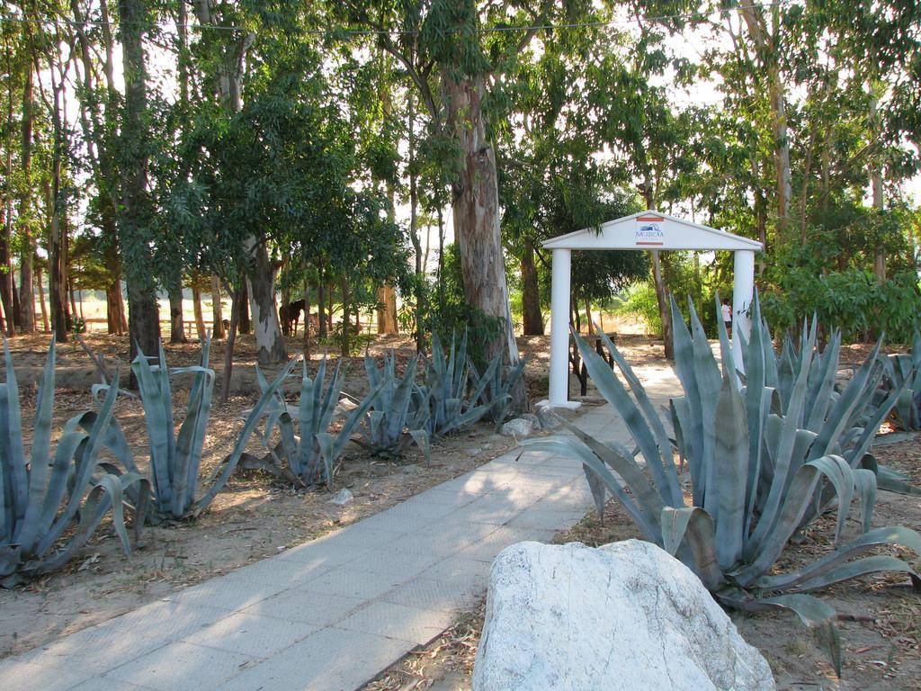 Nausicaa Village Сант-Андреа-Апостоло-делло-Йонио Экстерьер фото